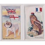 Cigarette cards, Robinson's, Regimental Mascots, two type cards, nos 18 & 19 (gd/vg) (2)