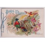 Printed album, USA, Allen & Ginter, Birds of the Tropics (vg) (1)