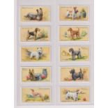 Cigarette cards, Hignett's, Dogs, (set, 50 cards) (vg)