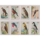 Trade cards, USA, Church & Dwight, Useful Birds of America, 'M' size, 2 sets, Third & 4th Series, (
