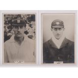 Cigarette cards, Phillips, Cricketers, Premium size, (153 x 111mm), Sussex, 3 cards, nos 150c