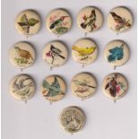 Tobacco issue, USA, Anon (American Pepsin Gum?), Celluloid buttons, Birds, 'K' size, 13 buttons,