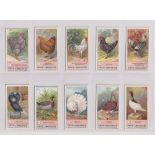 Trade cards, Fry's, Fowls, Pigeons & Dogs (set, 50 cards)