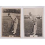 Cigarette cards, Phillips, Cricketers, Premium size, (153 x 111mm), 4 cards, Kent (2) nos 28c