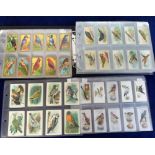 Cigarette & trade cards, Birds, a collection of bird related sets, part sets & odds inc. Ogden's