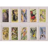 Trade cards, Brooke Bond (Rhodesian issue), African Birds (set, 50 cards) (vg)