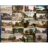 Postcards, Surrey, a collection of approx. 35 cards of Richmond, Surrey with RP's of Richmond