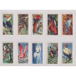 Trade cards, Brooke Bond (Rhodesia), Tropical Birds (set, 50 cards) (vg)