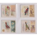 Cigarette cards, USA, Allen & Ginter, Song Birds of the World, 'X' size, 4 cards, Maryland Yellow-