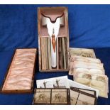 Perfescope, stereoscope in original fitted box (lid detached), together with 110 cards, subjects