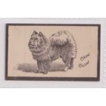 Cigarette card, Goodbody's, Dogs ('Goodbody's Silk Cut Cigarettes'), type card, 'Chow Chow' (vg) (