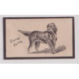 Cigarette card, Goodbody's, Dogs ('Goodbody's Furze Blossom Navy Cut'), type card, 'Gordon