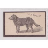 Cigarette card, Goodbody's, Dogs ('Goodbody's Silk Cut Cigarettes' back), type card, 'Curly