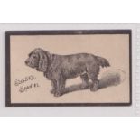 Cigarette card, Goodbody's, Dogs ('Goodbody's Two Flakes'), type card, 'Sussex Spaniel' (vg) (1)