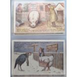 Postcards, a fine collection of approx. 75 cards advertising Molassine dog cakes, Molassine Meal for