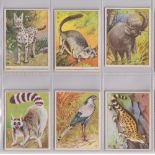 Cigarette cards, China, Anon (ref ZE6-1), Animals, 'M' size (19/22, missing nos 11, 19 & 22) (vg) (