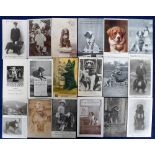 Postcards, a good selection of 32 cards of dogs collecting for charity inc. RP's for the Royal
