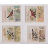 Cigarette cards, USA, Allen & Ginter, Song Birds of the World, 'X' size, 4 cards, Orchard Oriole,