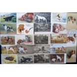 Postcards, a selection of approx. 80 cards of dogs, mostly gun and hunting dogs. The majority
