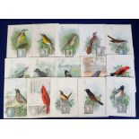 Trade cards, USA, Singer, The American Singer Series (Birds & Eggs), 'XL' size (set, 16 cards, mixed
