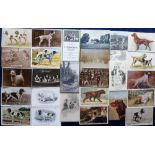 Postcards, a mixed selection of approx. 80 cards of dogs, RP's and illustrated inc. Set 6 '