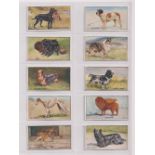 Cigarette cards, H. Stevens, Dogs (set, 20 cards) (gd)