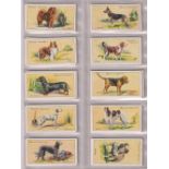 Cigarette cards, two sets, Hignett's Dogs (50 cards) & Ogden's Dogs (50 cards) (both vg) (100)