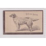 Cigarette card, Goodbody's, Dogs ('Goodbody's Golden Flake'), type card, 'English Setter' (vg) (1)