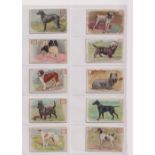 Trade cards, Church & Dwight, two part sets, Champion Dog Series (16/30) & New Series of Dogs (17/