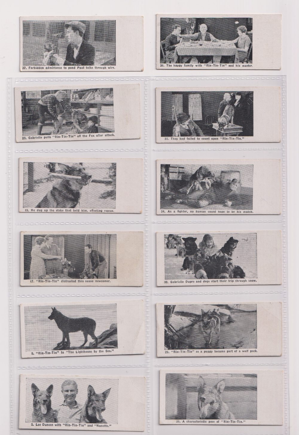Trade cards, Canada, William Paterson, The Wonder Dog Series (12/40) (all with coupons attached,