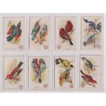 Trade cards, USA, Church, Dwight & Co, Useful Birds of America, 180+ cards, sets & part sets,