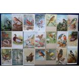 Postcards, a good collection of approx. 140 cards of birds from UK, Europe & Rest of the World.
