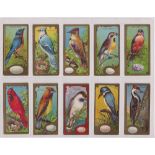 Trade cards, Canada, Lowney's, Bird Series (set, 25 cards) (a few with slight faults mostly gd)