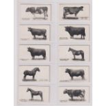 Cigarette cards, Taddy, Famous Horses & Cattle, (set, 50 cards) (some with sl marks gen gd/vg)