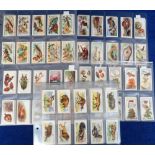 Cigarette cards, 5 sets, Adkins, Butterflies & Moths & Wild Animals of the World, Churchman's,