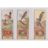 Trade cards, Canada, Patterson Candy Co, Bird Cards, 133mm x 55mm (set, 48 cards) (1 without coupon)
