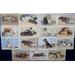 Postcards, a collection of 27 illustrated cards of dogs by Lucy Dawson (MAC) inc. Dalmatian,