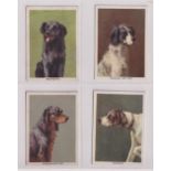 Trade cards, Walker, Harrison & Garthwaites, Dogs, 'M' size, 4 cards, English Setter, Gordon Setter,