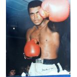 Autograph, Boxing, MUHAMMAD ALI - A large signed colour 16 x 18.5” photograph of the World