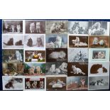 Postcards, Cats, a collection of approx. 90 cards inc. artist-drawn, RP's & printed (mixed