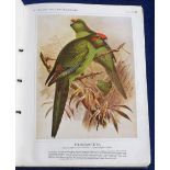 Tobacco issue, Wills, The Castles Book of New Zealand Birds, superb ribbon bound book containing