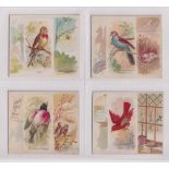 Cigarette cards, USA, Allen & Ginter, Song Birds of the World, 'X' size, 4 cards, Linnet,