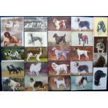 Postcards, a collection of approx. 57 illustrated and RP cards of dogs, and a set of six cards