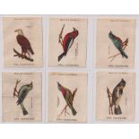 Tobacco silks, USA, ATC, Birds, Set 2, all 'Zira Cigarettes', 'M' size (25/26, missing Game