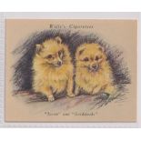Cigarette card, Wills, Puppies (unissued) 'L' size, type card no 16 (gd) (1)