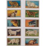 Trade cards, Canada, Cowan's, Noted Cats (set, 24 cards) (some toning, gd) (24)