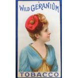 Tobacco advertising, a shop display sign for Wild Geranium Tobacco illustrated with Beauty, on