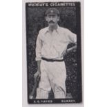Cigarette card, Murray's, Cricketers, (Series H, black front), type card E O Hayes, Surrey (gd) (1)