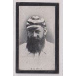 Cigarette card, Smith's, Champions of Sport (Blue back) Cricket, W G Grace (gd) (1)