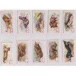 Cigarette cards, Wills, Wild Animals (P/C inset) (set, 52 cards) (1 with slight mark to back, rest